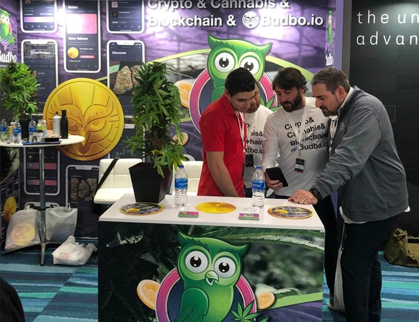 Budbo Gallery image 10