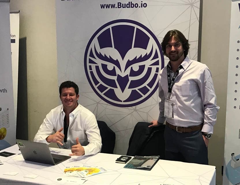 Budbo Gallery image 8