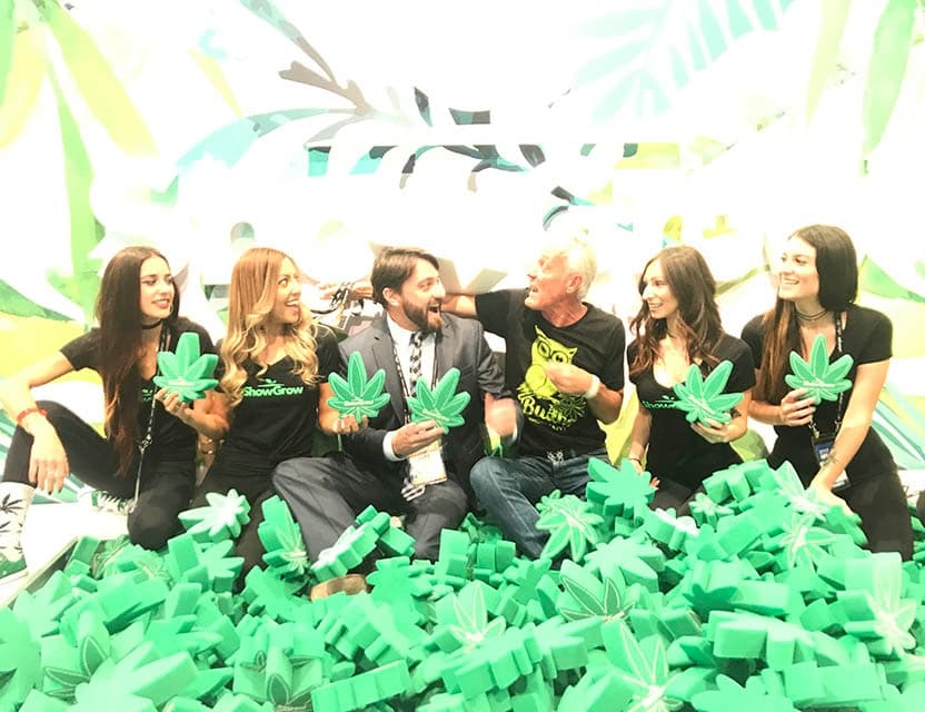 Budbo Gallery image 9